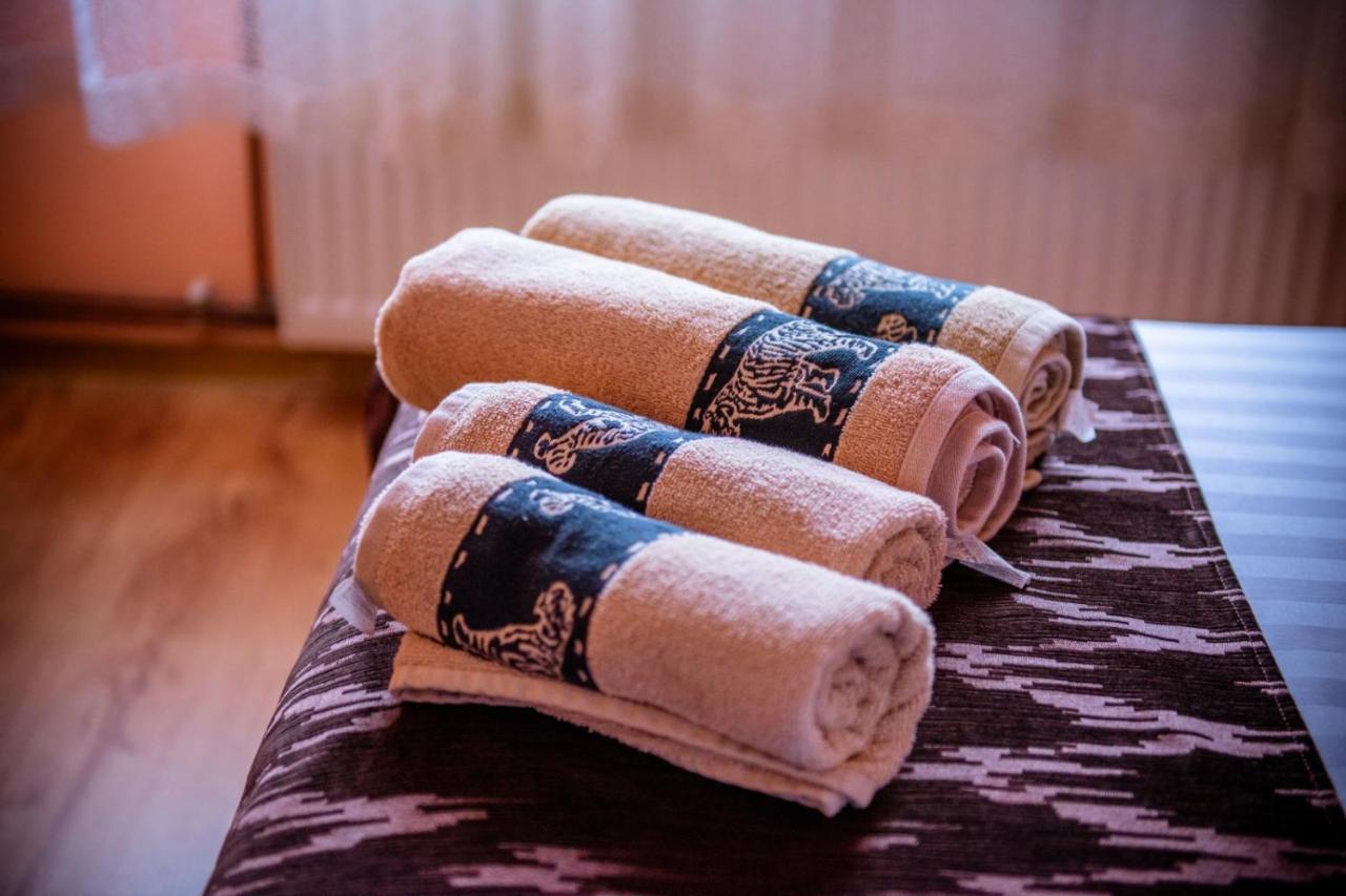 Hotel Popasul Drumetului Transfagarasan Curtea de Argeş Zewnętrze zdjęcie