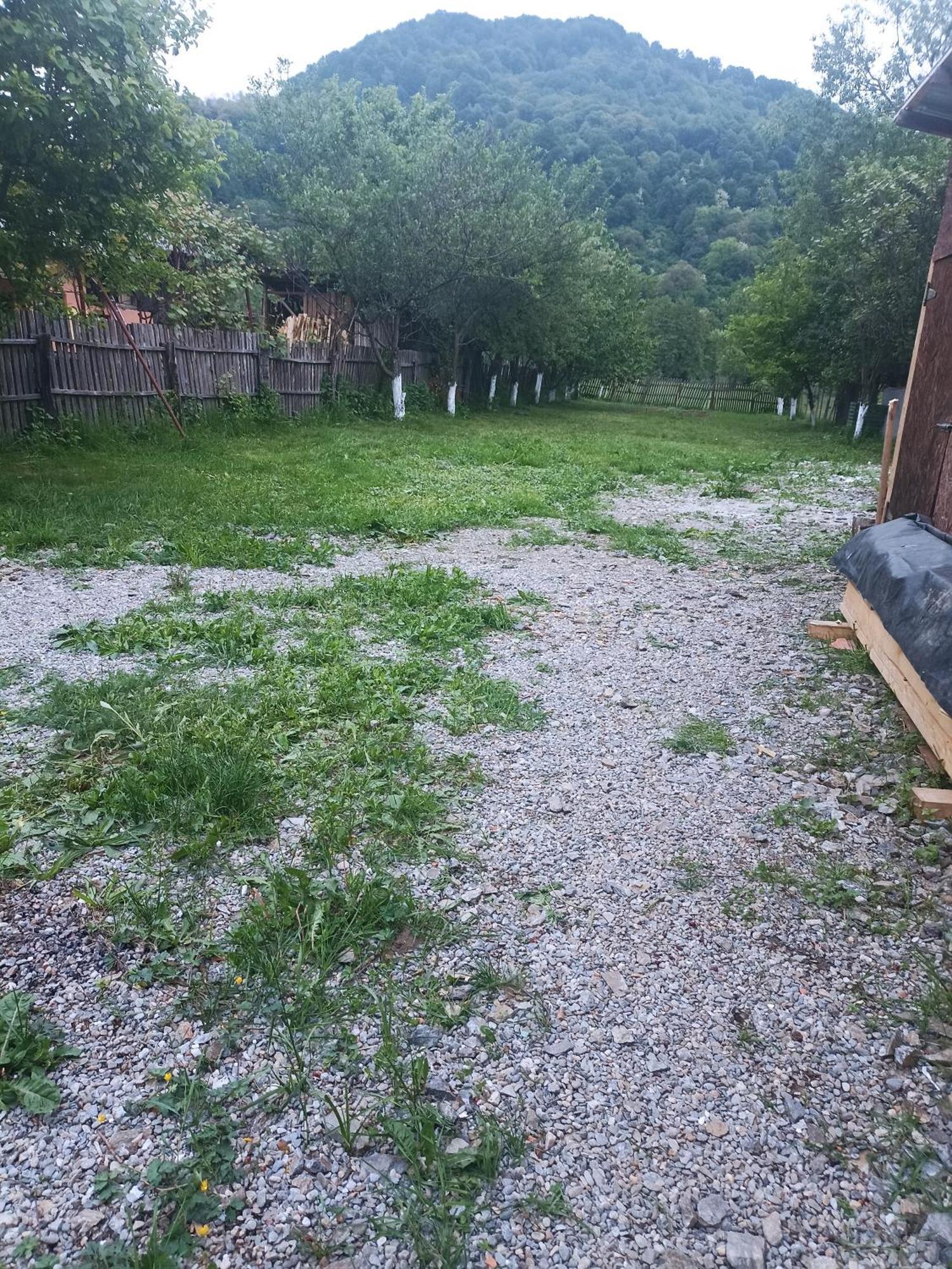 Hotel Popasul Drumetului Transfagarasan Curtea de Argeş Zewnętrze zdjęcie